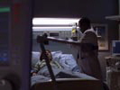 Dr. House - Medical Division photo 5 (episode s01e13)