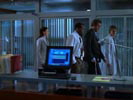 Dr House photo 6 (episode s01e13)