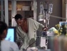 Dr. House - Medical Division photo 7 (episode s01e17)