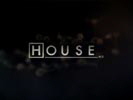 Dr House photo 1 (episode s01e19)