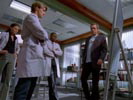 Dr. House - Medical Division photo 7 (episode s02e05)