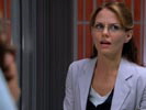 Dr. House - Medical Division photo 3 (episode s02e07)