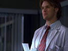 Dr. House - Medical Division photo 1 (episode s02e20)