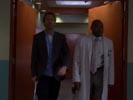 Dr. House - Medical Division photo 3 (episode s03e14)