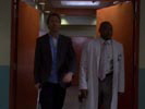 Dr House photo 3 (episode s03e14)