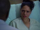 Dr. House - Medical Division photo 1 (episode s03e20)