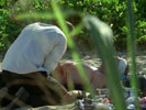 Lost : Les disparus photo 1 (episode s01e03)