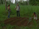 Lost : Les disparus photo 5 (episode s01e13)