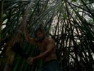 Lost : Les disparus photo 6 (episode s01e23)