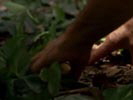 Lost : Les disparus photo 6 (episode s02e04)