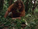 Lost : Les disparus photo 2 (episode s02e18)