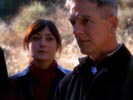 NCIS photo 7 (episode s01e13)