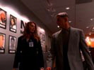 Navy NCIS photo 4 (episode s01e20)