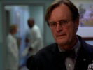 NCIS photo 2 (episode s02e08)