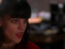 Navy NCIS photo 7 (episode s02e14)