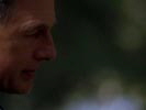 Navy NCIS photo 8 (episode s02e15)