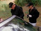 Navy NCIS photo 2 (episode s02e23)