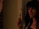 NCIS photo 7 (episode s03e21)