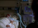 Navy NCIS photo 5 (episode s03e23)