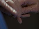 Nip/Tuck photo 4 (episode s01e03)