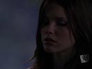 One Tree Hill photo 8 (episode s02e05)