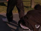 One Tree Hill photo 7 (episode s02e11)