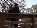 One Tree Hill photo 7 (episode s03e15)