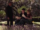 One Tree Hill photo 8 (episode s03e19)