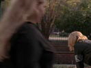 One Tree Hill photo 2 (episode s03e20)