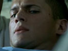 Prison Break photo 1 (episode s01e03)