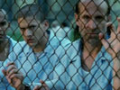 Prison Break photo 8 (episode s01e09)