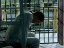 Prison Break photo 1 (episode s01e11)