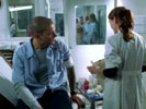 Prison Break photo 4 (episode s01e13)