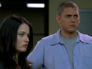 Prison Break photo 8 (episode s01e14)