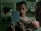 Prison Break photo 4 (episode s01e15)