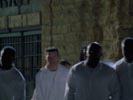 Prison Break photo 8 (episode s01e21)