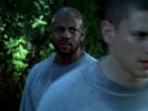 Prison Break photo 1 (episode s02e01)