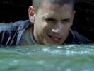 Prison Break photo 7 (episode s02e08)