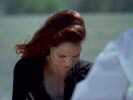 Prison Break photo 6 (episode s02e10)