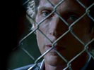 Prison Break photo 6 (episode s02e11)