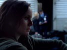 Prison Break photo 3 (episode s02e16)