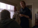 Six Feet Under - Gestorben wird immer photo 6 (episode s01e03)