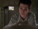 Six feet under photo 3 (episode s02e12)