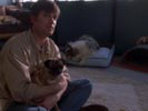 Six Feet Under - Gestorben wird immer photo 2 (episode s04e06)