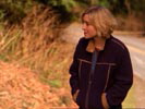 Smallville photo 7 (episode s01e16)