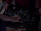 Smallville photo 8 (episode s01e17)