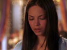 Smallville photo 2 (episode s02e06)