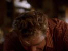 Smallville photo 7 (episode s02e07)