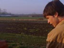 Smallville photo 4 (episode s02e16)