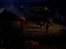 Smallville photo 6 (episode s02e18)